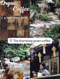 คาเฟ่ชิคๆในเชียงใหม่