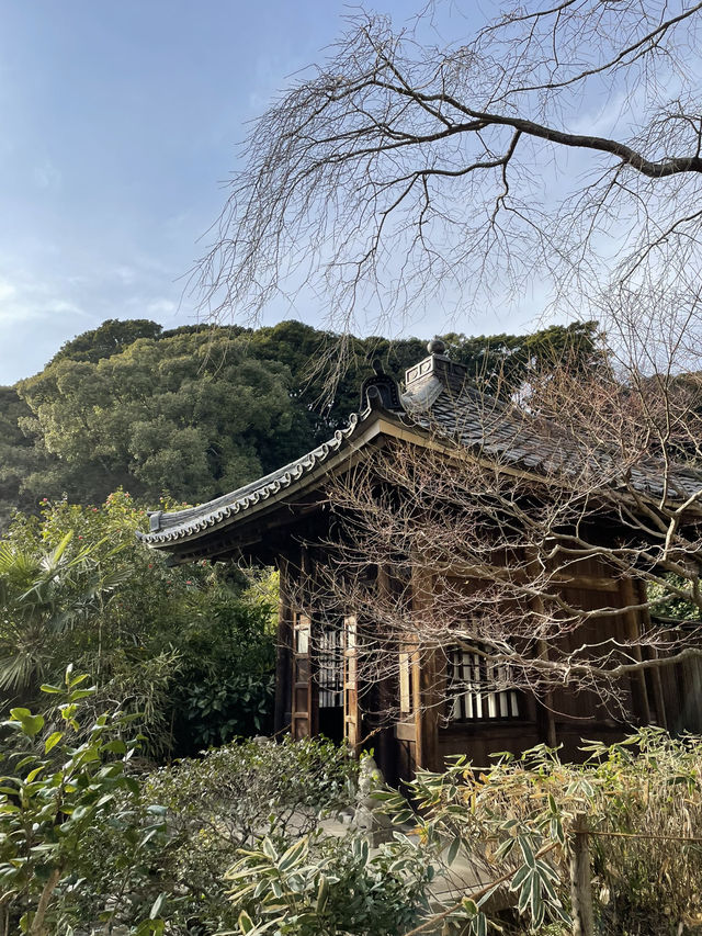 【鎌倉×初春日帰り旅】  「花の寺」として有名  梅の名所