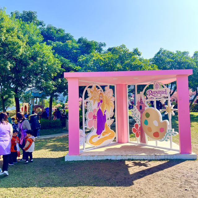 ชมดอกซากุระบานที่สวนเล่อฮวอ(Lohas Park)