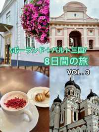🇵🇱🇱🇹🇱🇻🇪🇪バルト三国＋ポーランド旅行記 VOL.3