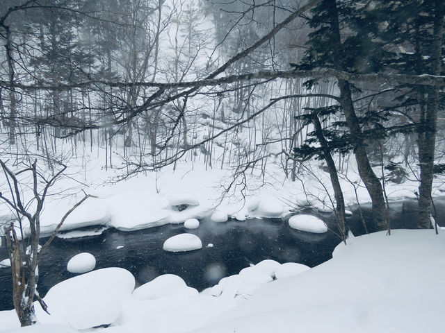 🇯🇵北海道最大最高國家公園🏞️
