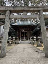 【山口観光】城下町長府の神社で開催中の｢大雛人形展｣🎎