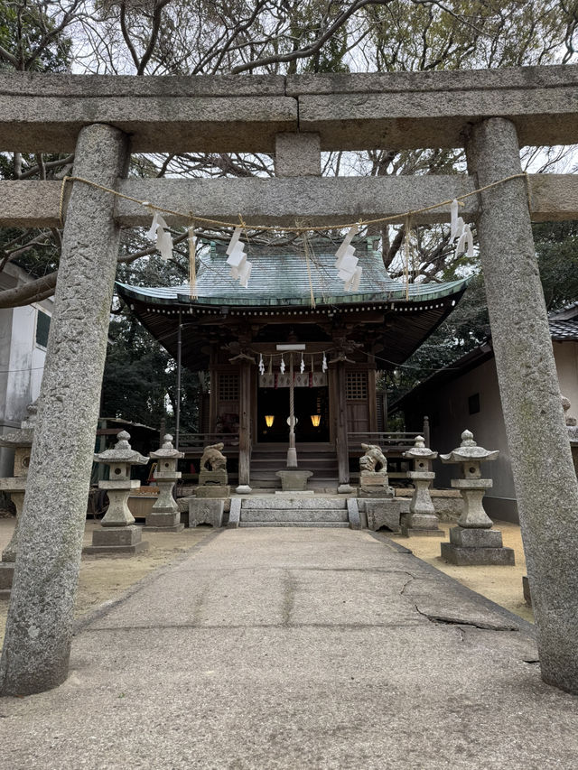 【山口観光】城下町長府の神社で開催中の｢大雛人形展｣🎎