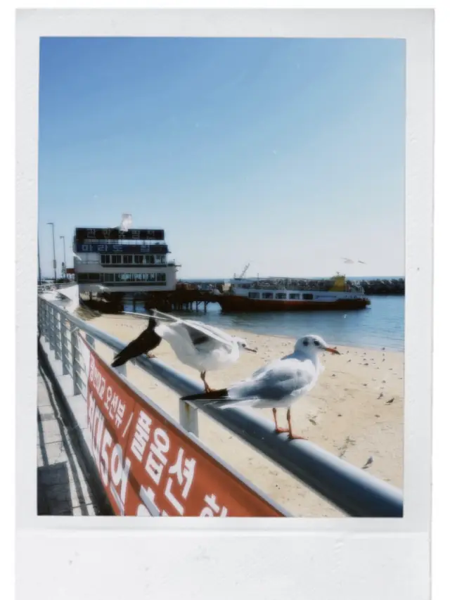 Busan 5-Day Leisure Trip
