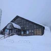 🇯🇵岩手「雫石王子飯店」 東北粉雪天堂，性價比超高的滑雪度假體驗