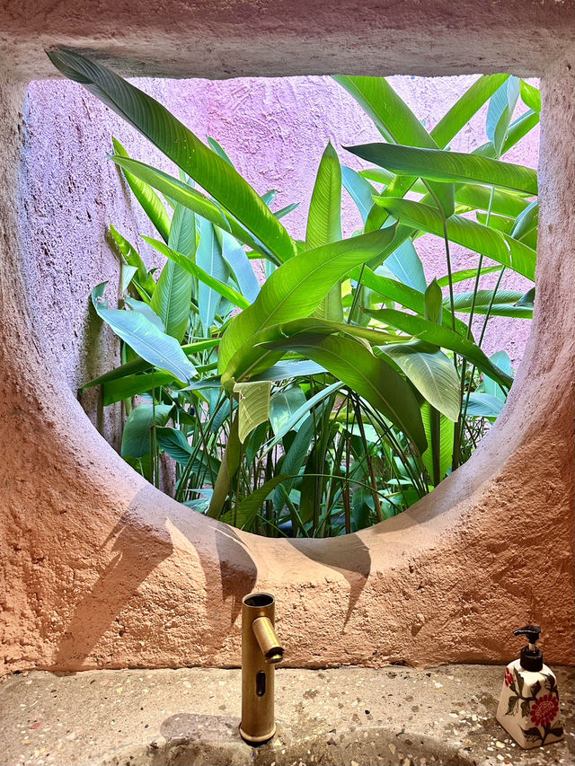 🇻🇳친구야 사진찍어줘📸 사진핫플 나트랑카페