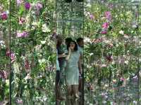 Step Into Another Dimension at TeamLab Planets Tokyo