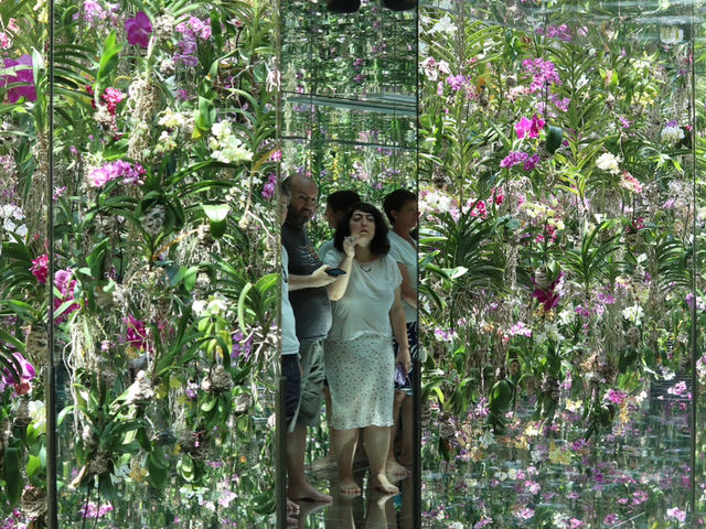 Step Into Another Dimension at TeamLab Planets Tokyo Step Into Another Dimension at TeamLab Planets Tokyo