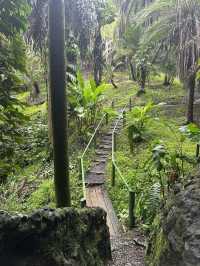 Day Trip to Nadi