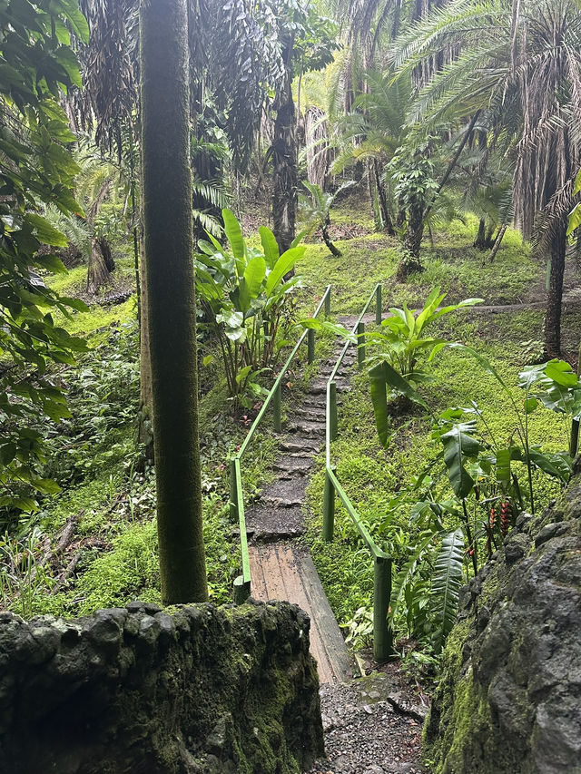 Day Trip to Nadi