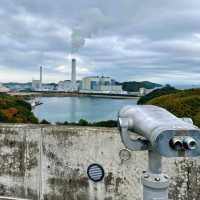 科学や発電について体験できる！