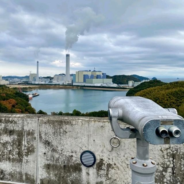 科学や発電について体験できる！