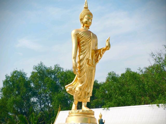 ท่าเรือวัดพุทธพรหมยาน บางคล้า