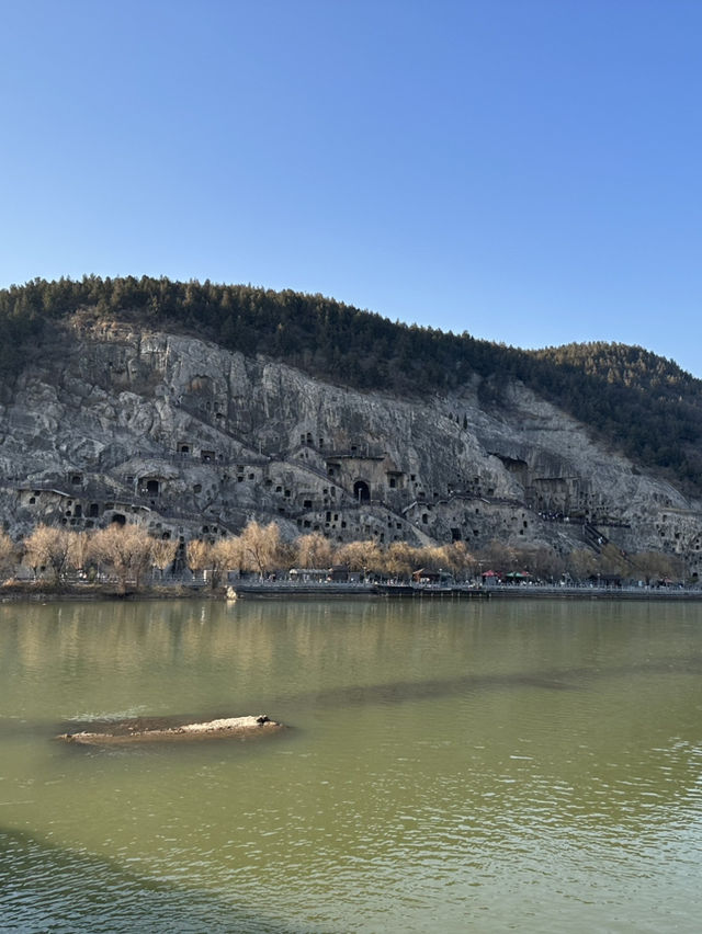 My Luoyang Adventure: 3 Days of History & Spirituality