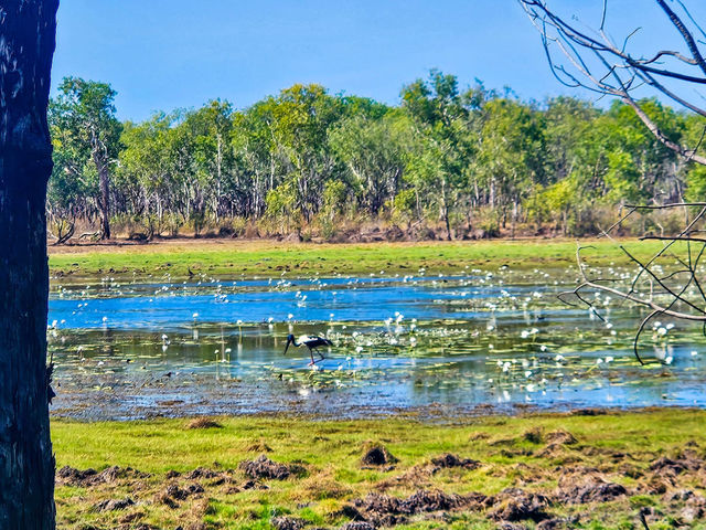 Arnhem Land,