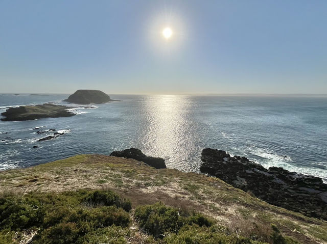 🇦🇺 又有海景又是企鵝的家！🐧