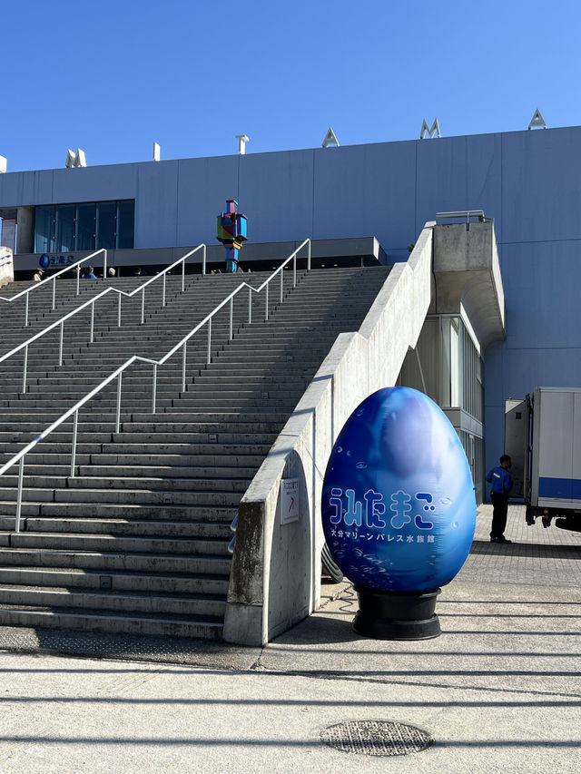 大分　🩵水族館🦭🐬