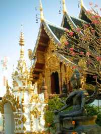 สายมูต้องมา! วัดป่าแดด เชียงใหม่