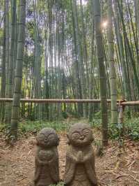  大阪京都：清水寺 | 嵐山 