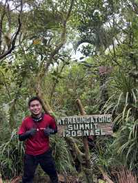 SMALL BUT TERRIBLE: MT. AMANDEWING