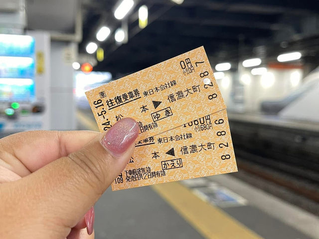 🇯🇵 “Tateyama Kurobe Alpine Route”