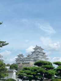 關西11日遊（下）