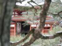 Byodoin temple