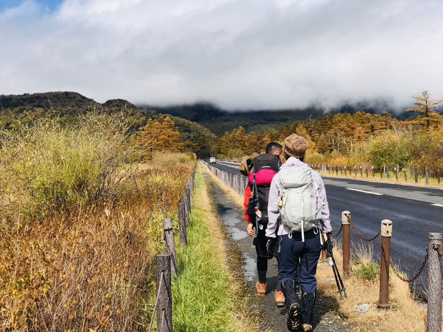 Senjogahara กับใบไม้เปลี่ยนสี ที่ Nikko คือที่สุดด