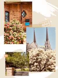 Spring's Vibrant Colors and Panoramic Views 