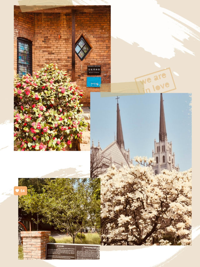 Spring's Vibrant Colors and Panoramic Views 
