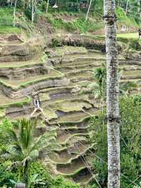Bali 5D4N free and easy trip