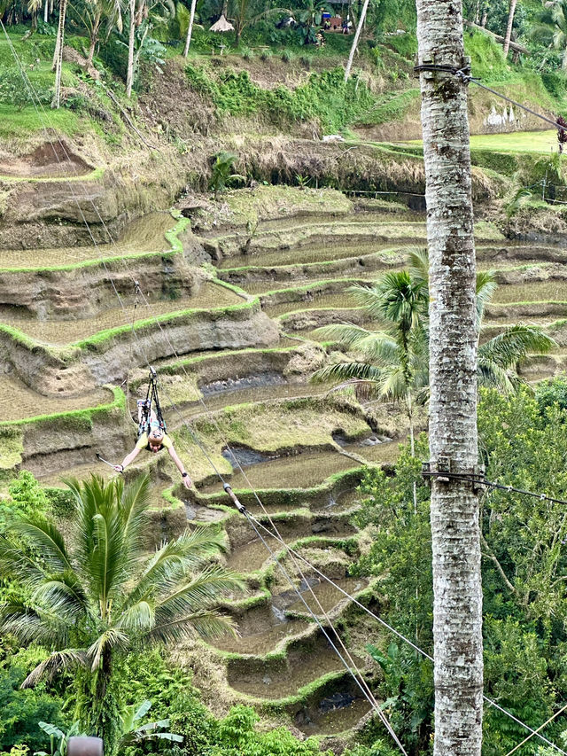 Bali 5D4N free and easy trip