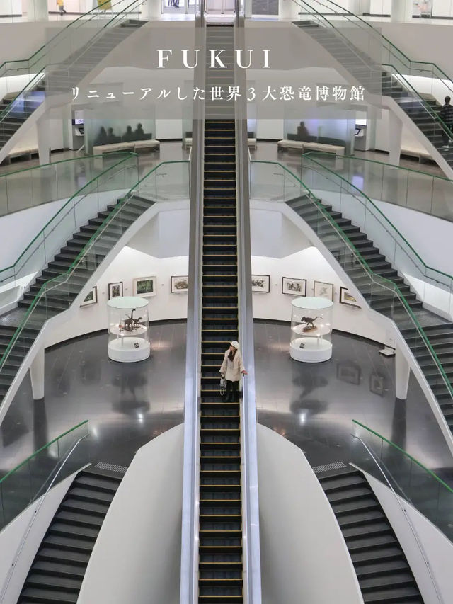 待望のリニューアル！世界的にも有名な恐竜博物館