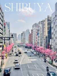 【さくら2025】行かなきゃ損！ピンク色に染った渋谷🌸🌸🌸