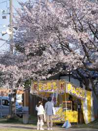 【新潟】行かなきゃ損‼️ここが無料はおかしすぎる🤩