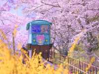 Chasing Sakura at Funaoka Joshi Park Monorail
