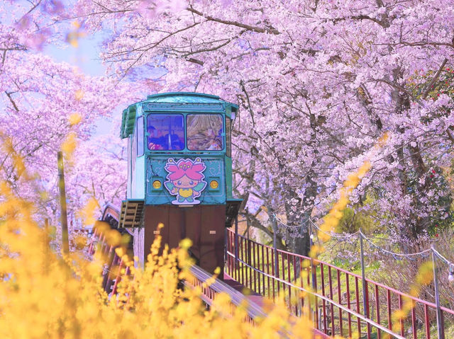 Chasing Sakura at Funaoka Joshi Park Monorail