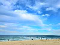서울에서 가장 가까운 동해바다!🏖