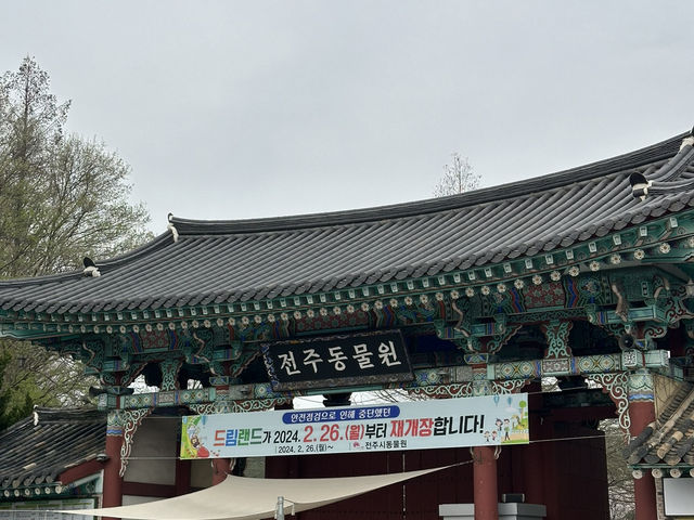 따스한 봄에 가족 나들이하기 좋은 전주동물원🦨