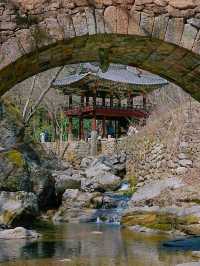 유명한 순찬 벚꽃 명소