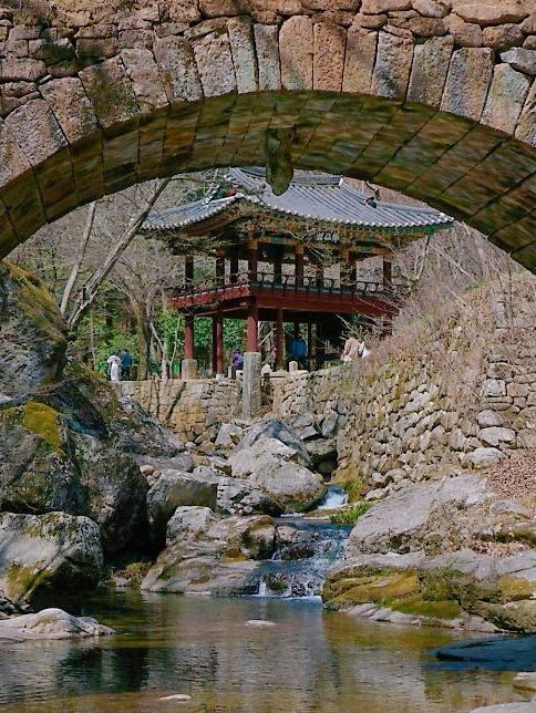 유명한 순찬 벚꽃 명소