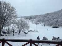 【志賀高原スキー場｜ホテルベルグで過ごす至福のひととき🏨⛷️】