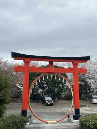 日本香川縣-賞櫻秘境「伊勢朝日山本宮」美到仙境