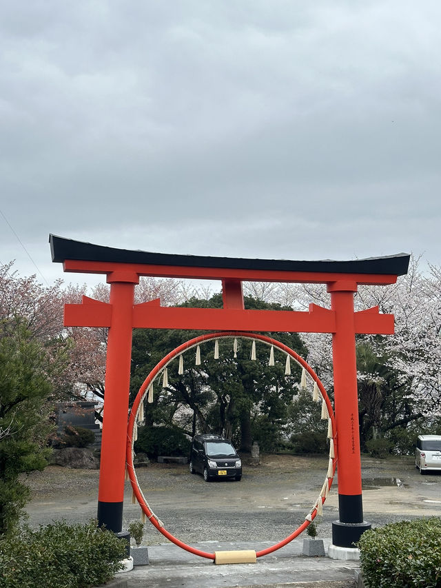日本香川縣-賞櫻秘境「伊勢朝日山本宮」美到仙境