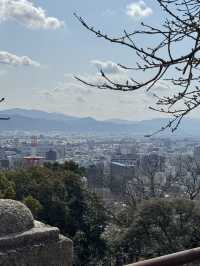 🏯 마쓰야마성, 일본의 숨은 고성 명소!