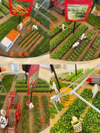 【長野県/富士見　カゴメ野菜生活ファーム工場を見学