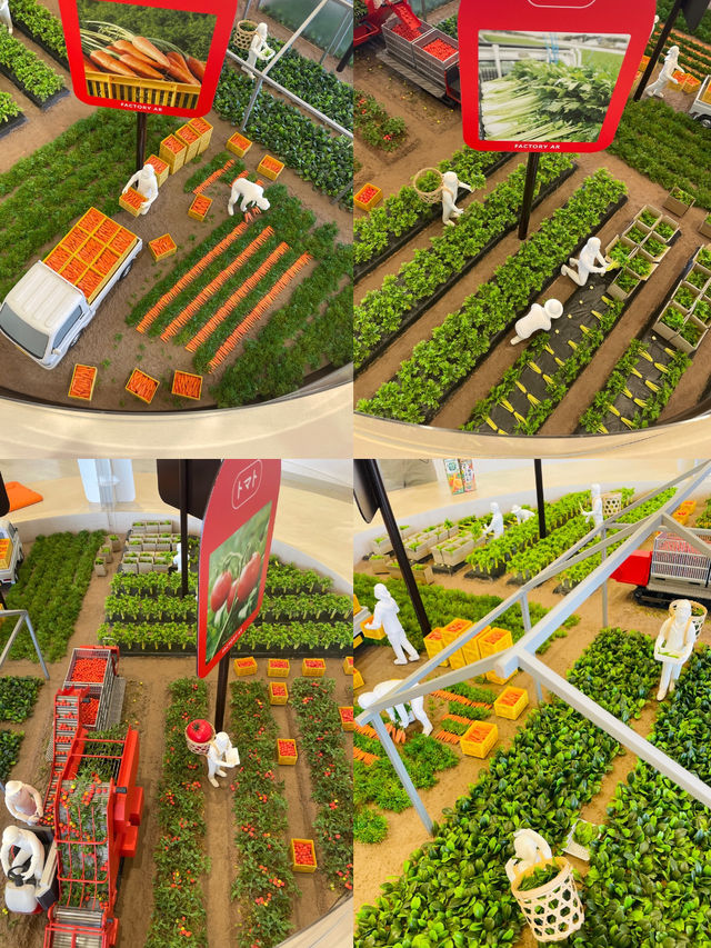 【長野県/富士見　カゴメ野菜生活ファーム工場を見学
