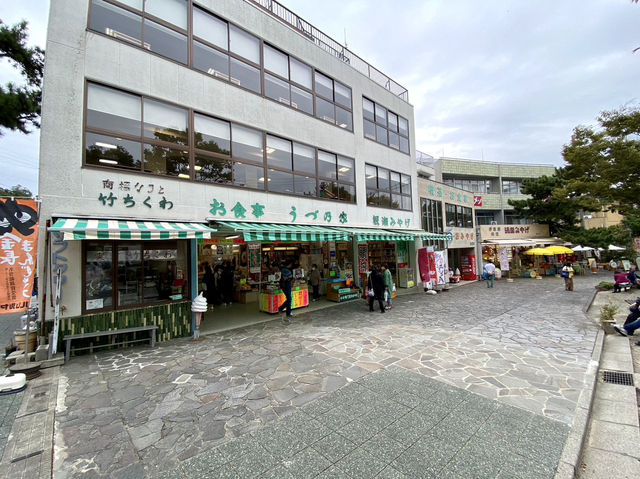 【徳島県】間近で眺める明石海峡大橋🌉