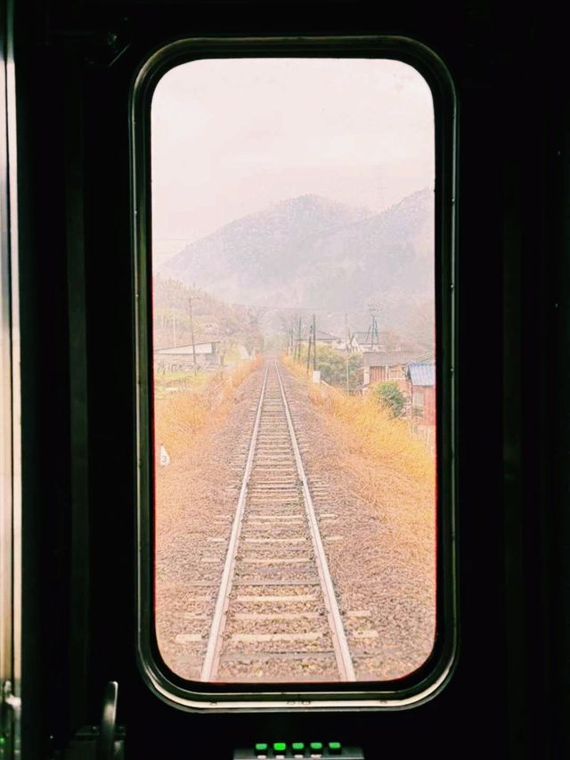 日本著名列車旅行由布院之森觀光列車旅行攻略，適合打卡拍照📸