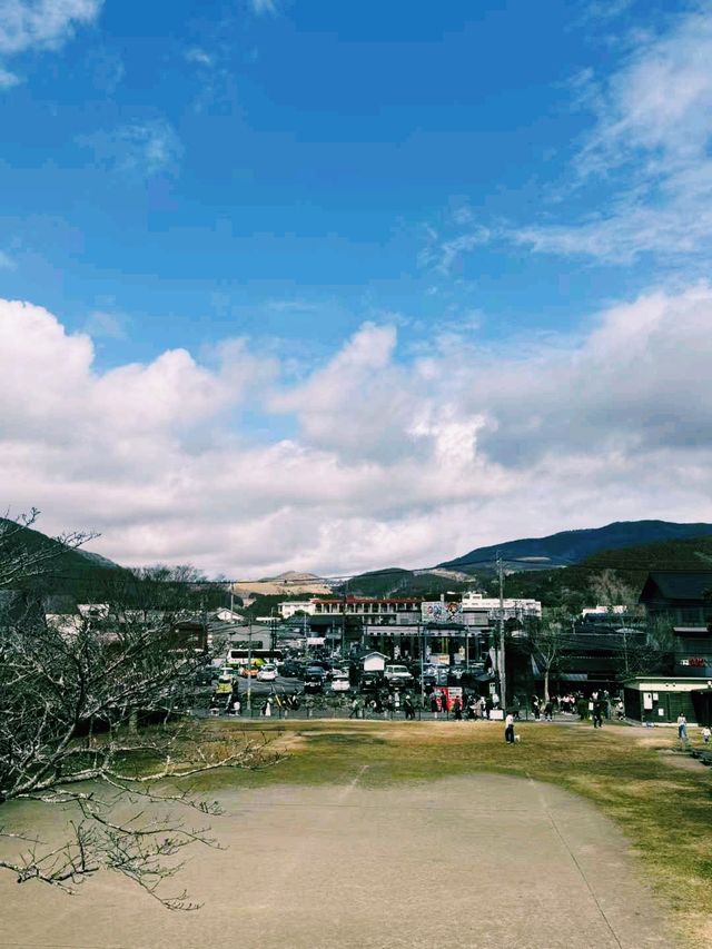 日本著名列車旅行由布院之森觀光列車旅行攻略，適合打卡拍照📸
